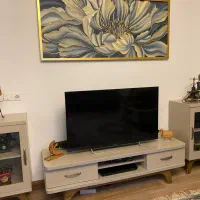 تلویزیون ۴۹ اینچ سونی