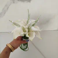 گل عروس|گل و گیاه طبیعی|شیراز, گویم|دیوار