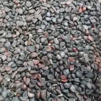 انچوچک(انجک)|خوردنی و آشامیدنی|شیراز, شهدای شهرک سعدی|دیوار