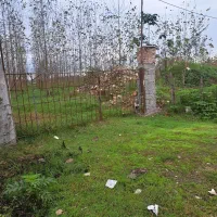 فروش زمین باغی  بادرخت صنوبر۴ساله|فروش زمین و ملک کلنگی|طاهرگوراب, |دیوار