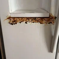 رنگ کردن یخچال وست لوازم منزل|خدمات پیشه و مهارت|قرچک, شهرک طلائیه|دیوار