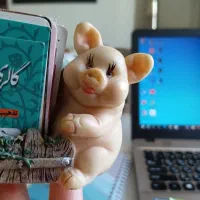 جاکارتی رومیزی|صنایع دستی و سایر لوازم تزئینی|شهرکرد, |دیوار