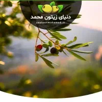 استخدام بازاریاب حضوری بدون حضور در دفتر|استخدام بازاریابی و فروش|تهران, تهرانسر شمالی|دیوار
