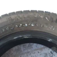 لاستیک ۲۰۶ سالم|قطعات یدکی و لوازم جانبی|طاغنکوه, |دیوار