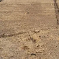 زمین کشاورزی (باغی) واقع در روستای گزنهله