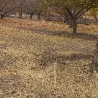 امتیاز زمین بهزیستی