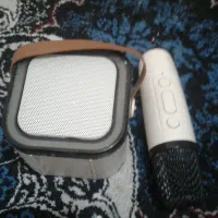 ایسپیگر بامیکرفت