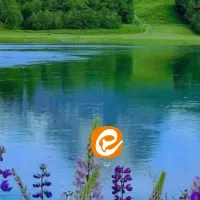 خدمات مجازی