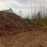 خاک مرغوب باغی|خدمات باغبانی و درختکاری|سنگر, |دیوار