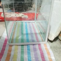آکواریوم شرکتی شیشه خم درحدنو