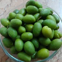 زیتون شور دزفول