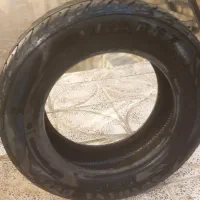 لاستیک ساینا