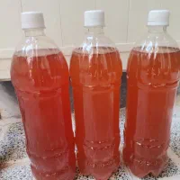 فروش آبغوره ی تازه|خوردنی و آشامیدنی|تهران, فلسطین (میدان انقلاب)|دیوار