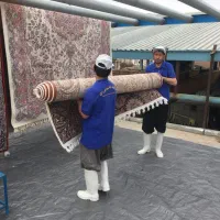 قالیشویی پاک شو نمین(عنبران)