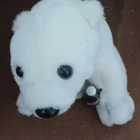 اسباب بازی خرس|اسباب‌بازی بچه|خرمدره, |دیوار