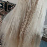 کله مانکن|آرایشی، بهداشتی، درمانی|مشهد, اروند|دیوار