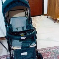 کالسکه،، رنگ ست کم استفاده شده درحد