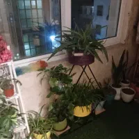 ۱۵۸متری ۳خواب|اجارهٔ آپارتمان|تهران, تهرانسر شرقی|دیوار