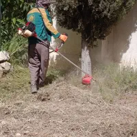 سمپاشی تیلر علفتراش پاکنی گل درخت اره برقی هرس کود|خدمات باغبانی و درختکاری|شیراز, قصرالدشت|دیوار