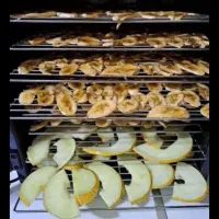 با پیش پرداخت ده میلیون صاحب کسب و کار شوید