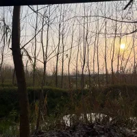 سود دهی بالا در قلب جنگل|فروش خانه و ویلا|صباشهر, |دیوار