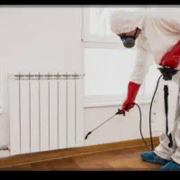 سمپاشی تضمینی صدرصد سوسک وموش وساس وحشرات خونخوار