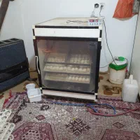 دستگاه جوجه کشی اسکندری