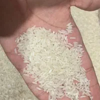 برنج محلی بلوچستان