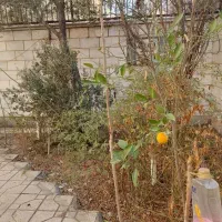 اجاره ملک ویلایی دربستی ۳۰۰متری شهرک راه آهن