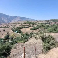 ۱۵۰۰مترمربع زمین دارای مجوز تاسیس گلخانه طالکوه|فروش زمین و ملک کلنگی|بره‌سر, |دیوار