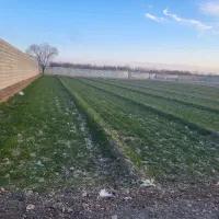 زمین-کشاورزی-مناسب-باغ-800-متر