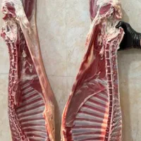 سوپر گوشت رضا ارزانترین قصابی در خراسان|خوردنی و آشامیدنی|بجنورد, |دیوار
