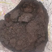 چرم یا کود حیوانی گاوی۵ساله