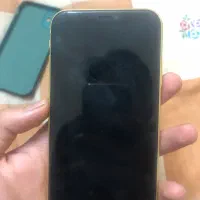 آیفون ۱۱ نرمال -iphone 11 normal|موبایل|مشهد, آزادشهر|دیوار