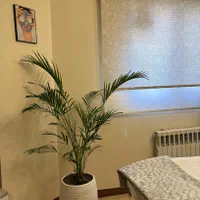 اجاره اتاق بزرگ در سالن زیبایی بر اصلی گلسار|اجارهٔ دفتر کار، اتاق اداری، مطب|رشت, گلسار|دیوار