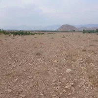 فروش زمین کشاورزی