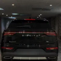 دیگنیتی پرایم مشکی داخل مشکی صفر خشک