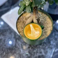 واگذاری کافه با تمامی تجهیزات