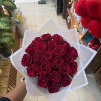 دسته گل رز هلندی ۲۰ شاخه با بهترین کیفیت و قیمت|گل و گیاه طبیعی|شیراز, کوی زهرا|دیوار