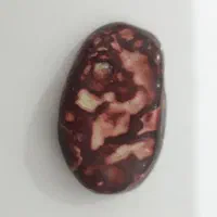 عقیق ملکی|کلکسیون اشیاء عتیقه|اهواز, کوروش|دیوار