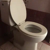 توالت فرنگی ( مروارید مرجان )