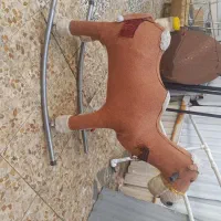 شتر گهواره‌ای