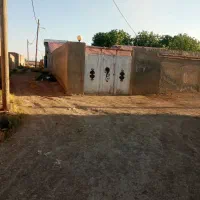 دامداری سنتی سندتک برگ