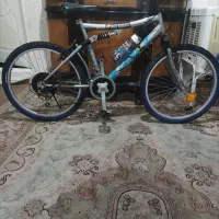 دوچرخه ۲۴ کبری تنه بزرگ اصل تایوان