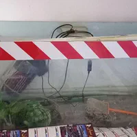 آکواریوم|ماهی|قروه, |دیوار