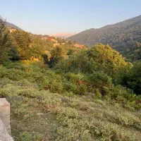 ۳۲۵ متر زمین در سوادکوه روستای فلورد