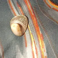انگشتر شجر درختی رکاب برنج نقره