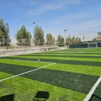 انبار پخش چمن مصنوعی درجه 1 /حذف واسطه ها/|گل مصنوعی|گلستان (تهران), |دیوار