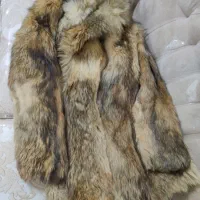 کت پوست طبیعی