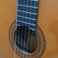 گیتار قدیمی اصل c40|گیتار، بیس، امپلیفایر|مشهد, جاهد شهر|دیوار